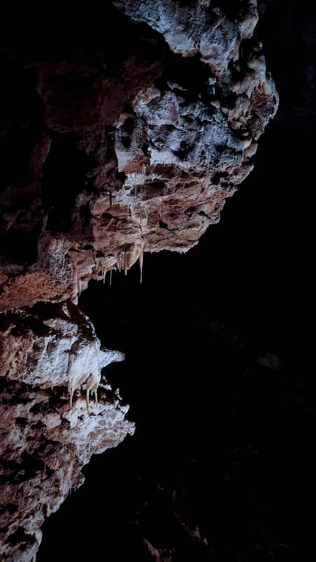 Paroi sombre ourlée de stalactites blanches dans la Draye Blanche