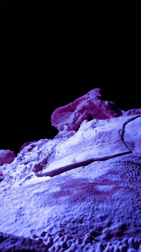 Plancher stalagmitique aux teintes violettes